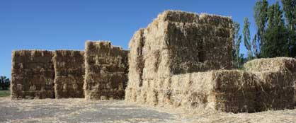 Hay Bales